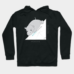 The Hippo Theorem Hoodie